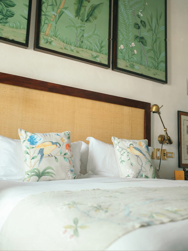 Cabecero y cama con cojines decorativos en la habitación Macaw del hotel Amarla