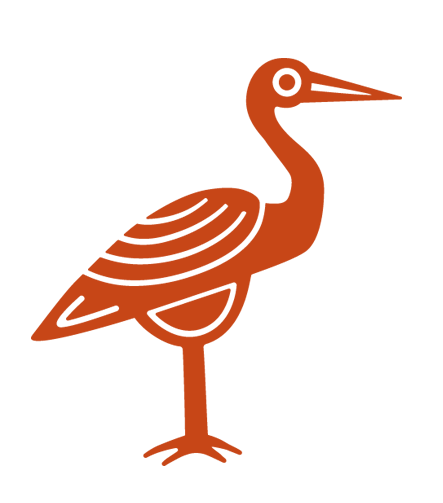 Heron Illustration