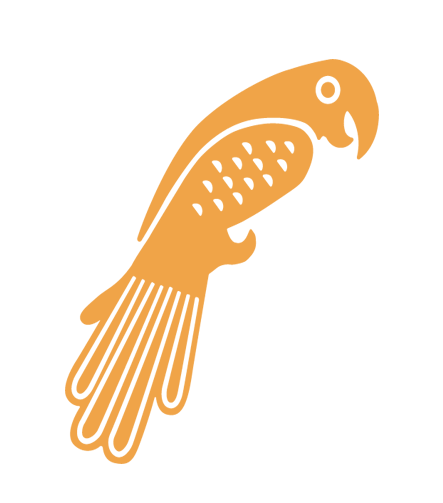 Macaw bird illustration in orange