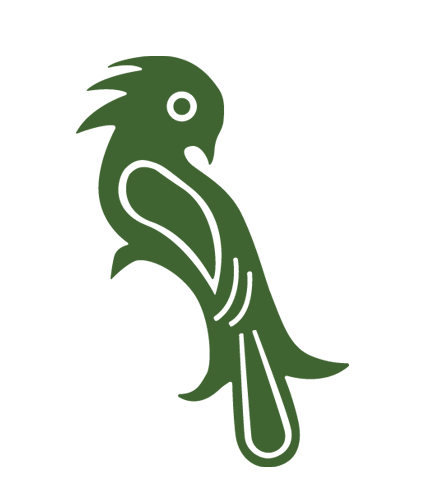 Ilustración de quetzal en verde
